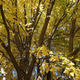 Image for article titled 48 Photos Of Autumn Around The World